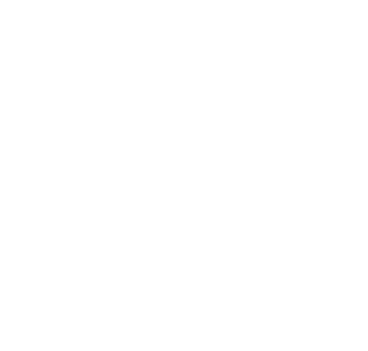 Play and have fun